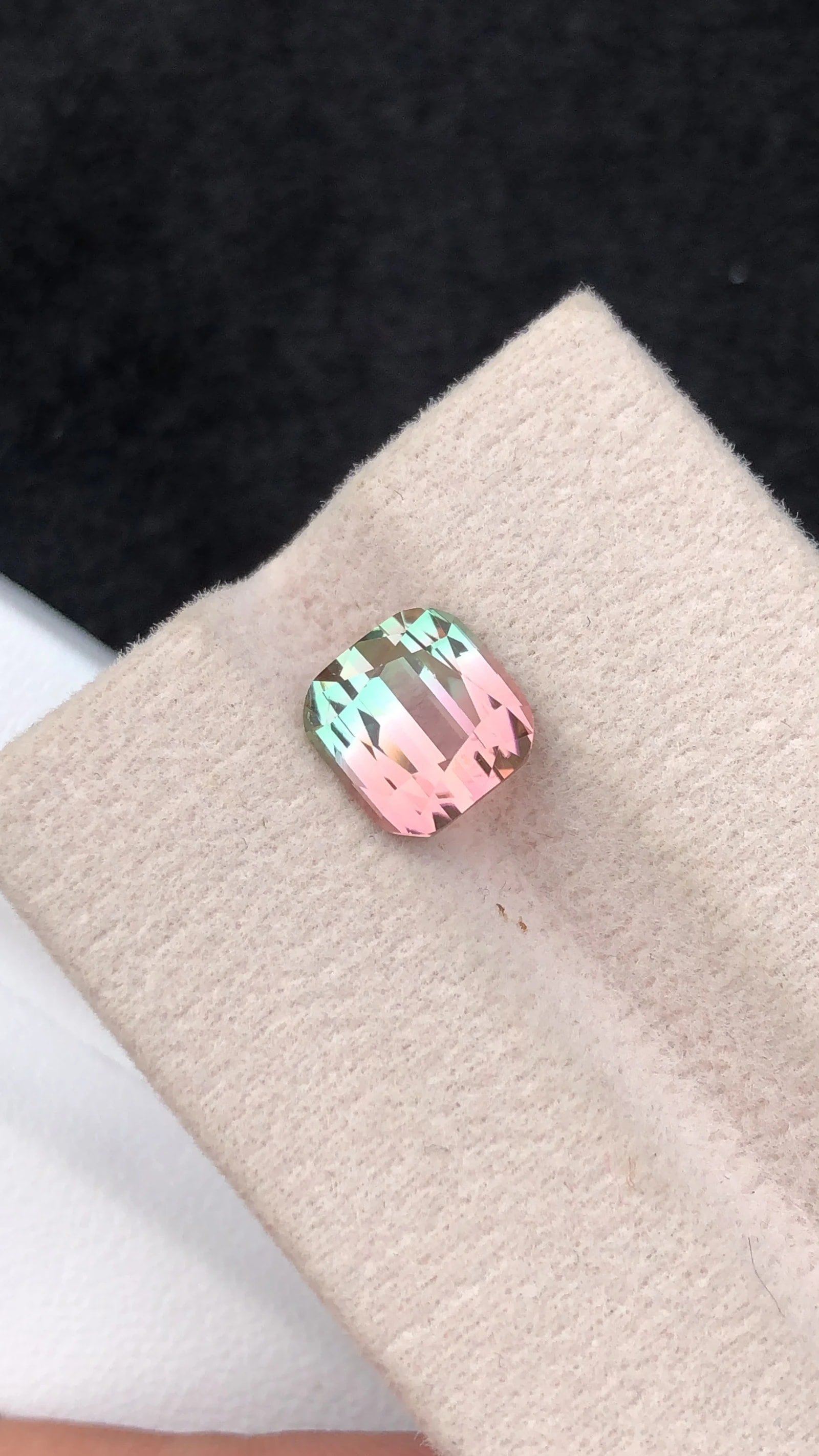 Bi color tourmaline
