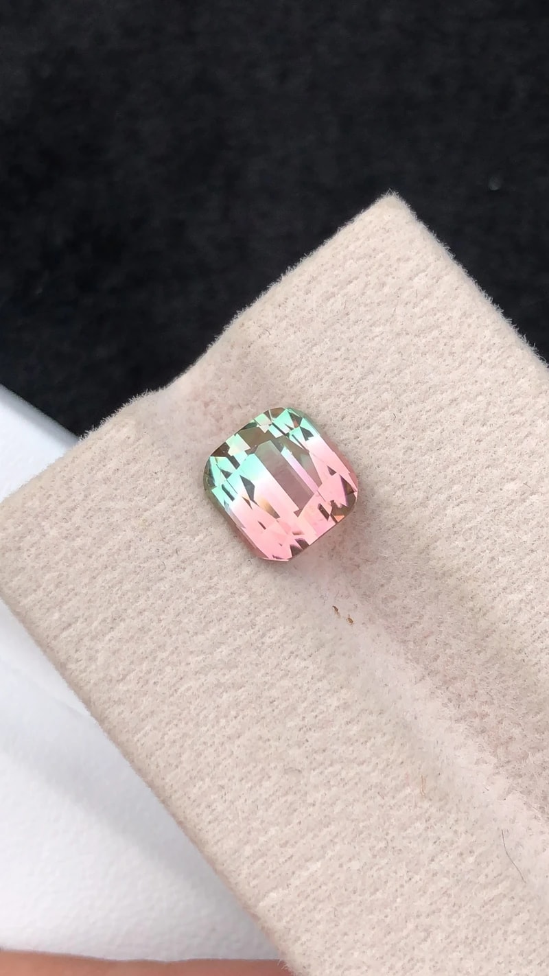Bi color tourmaline